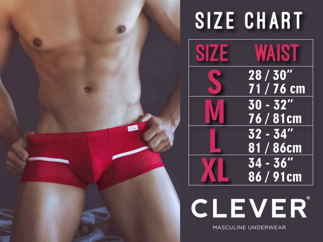 Clever 0559-1 Pride Briefs Color Grape