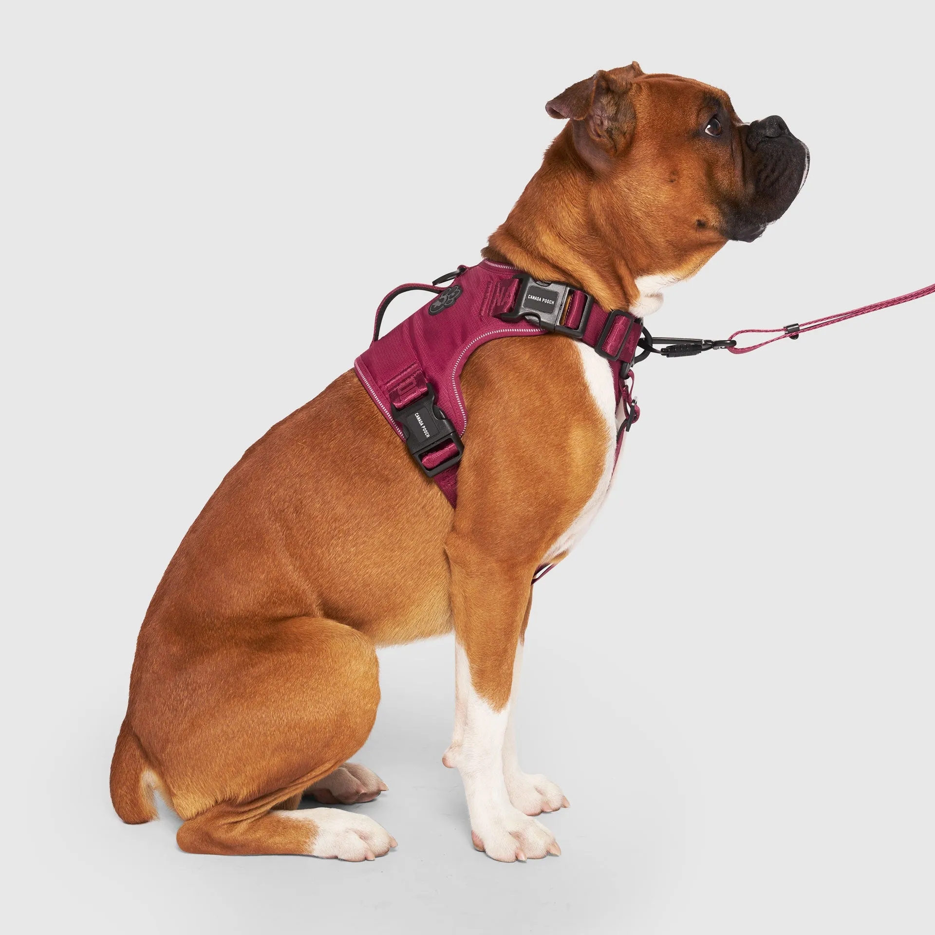 Complete Control Harness