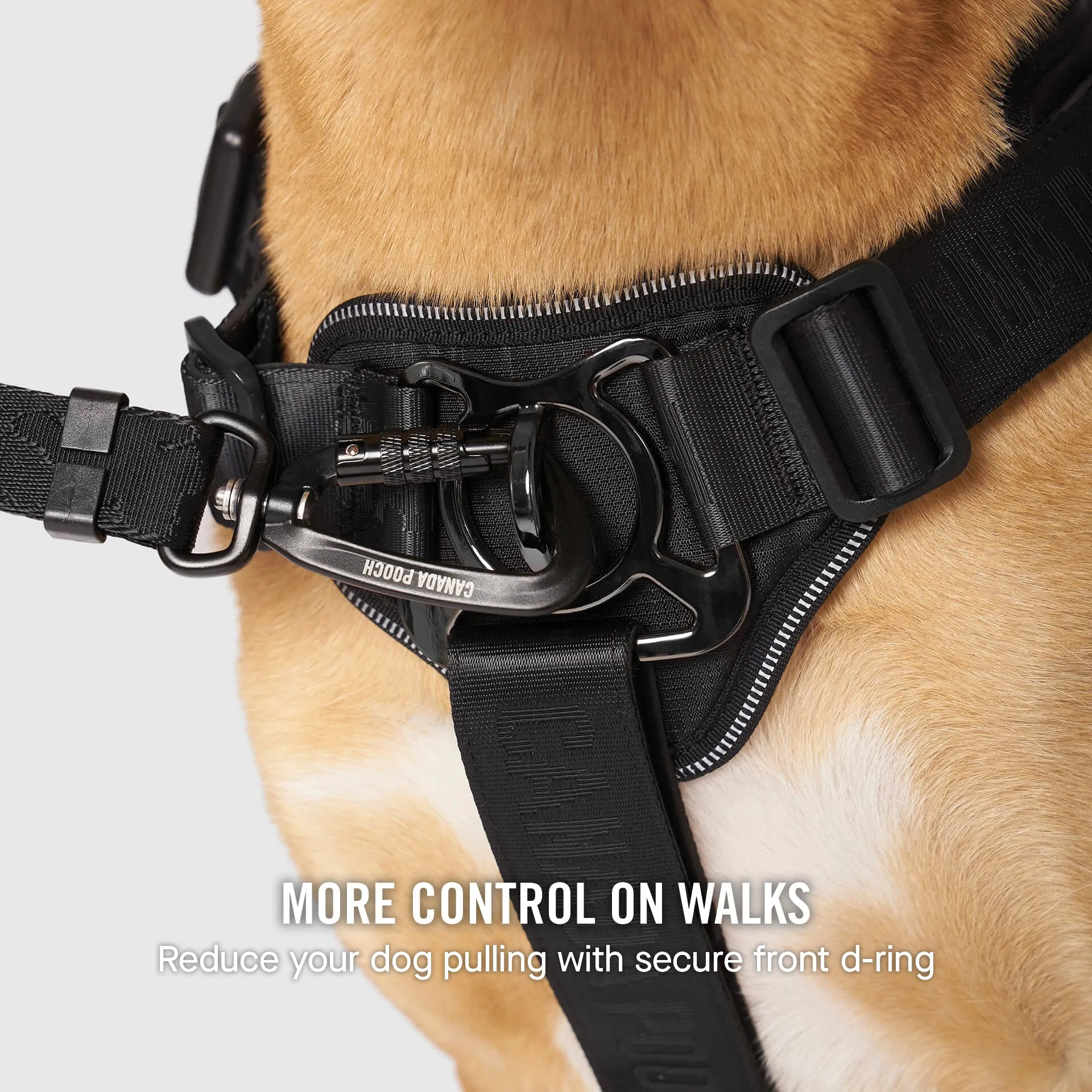 Complete Control Harness