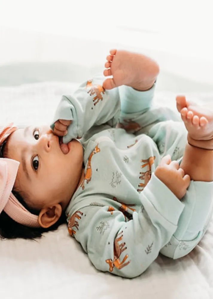 Dasher Zipup Organic Sleepsuit