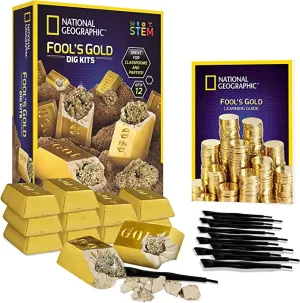 Fool’s Gold Mini Dig Kit